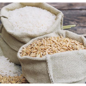 刘焕鑫：增强粮食安全保障能力