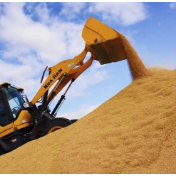 毫不放松！中国饭碗固本图新