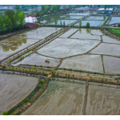 世贸组织官员:中东战事波及全球粮食安全