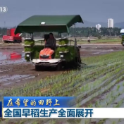 「在希望的田野上」全国早稻生产全面展开