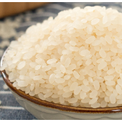 神奇大米从哪里来 | 湖南科研团队智能碾米技术落地 破解精米营养单一难题