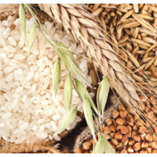 迎接全国两会特稿 | 向安:粮食能源供应底气充沛