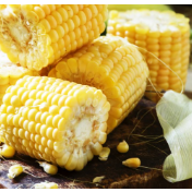 我们为什么没把玉米当主食？