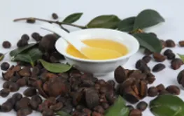 油茶产业向科技创新要效益