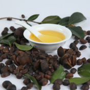 油茶产业向科技创新要效益