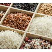 “中国粮食什么时候都不能言多”