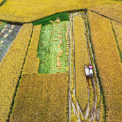 两会受权发布丨李强在政府工作报告中提出，扎实推进乡村全面振兴