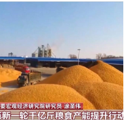 1.45万亿斤左右！粮食产能新目标