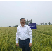 报告解读丨刘录祥：“十五五”如何实现1.45万亿斤粮食产能？