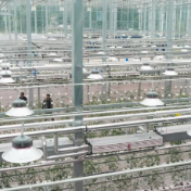 俄媒:中国智慧农业确保粮食安全