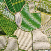 粮食产量：1.4万亿斤左右 全力保障粮食安全