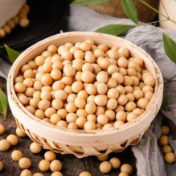 一场由大豆引发的讨论