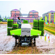 “油”压下的春耕 成本压力与物资供应迎大考