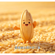 一颗谷种的“自述”：我是这样成长为秧苗的