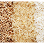 粮食和能源，这两项指标将“确保”