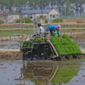 南方雨势增强 春耕春播如何趋利避害