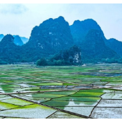 公安部 自然资源部 联合公布4起非法占用耕地刑事犯罪典型案例