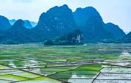 公安部 自然资源部 联合公布4起非法占用耕地刑事犯罪典型案例