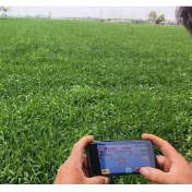 筑牢粮食数据安全防线 斩断伸向中国饭碗的黑手