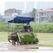 无人驾驶农机助力洞庭湖畔春耕作业
