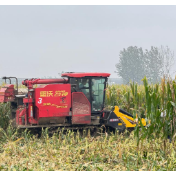 降本增效稳住粮食生产基本盘