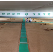 粮食仓储加速绿色转型