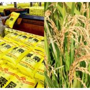 中东战火引发蝴蝶效应 谨防粮食安全隐忧变为现实