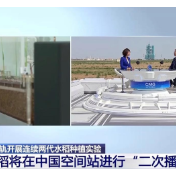 空间站为何“二次播种”水稻？专家详解