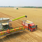 中国粮,何以“稳”