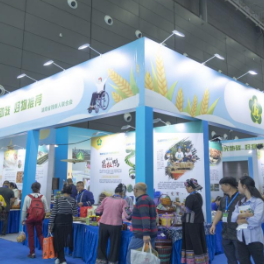 阳光助残，好物推荐 阳光助残展区点亮第二十四届中部农业博览会