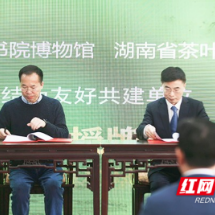 2023年湖湘茶文化学术论坛暨湖湘文化润茗茶活动举行