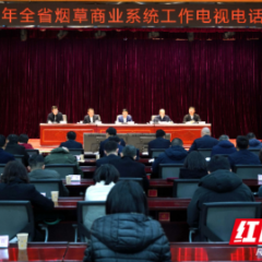 2024年湖南烟草商业系统工作电视电话会议在长沙召开