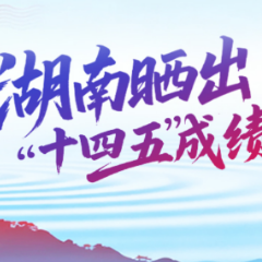 数据海报 | 一组海报，看湖南“十四五”经济社会发展“成绩单”