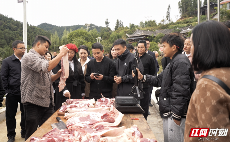 微信图片_20251022170140_145_139.png