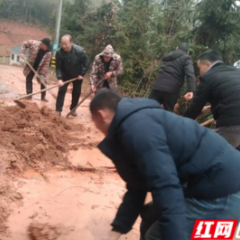 湘乡市梅桥村：众心齐聚 共筑公益事业美好家园