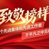 致敬榜样丨一个个先进集体和先进工作者 于平凡之中见极致