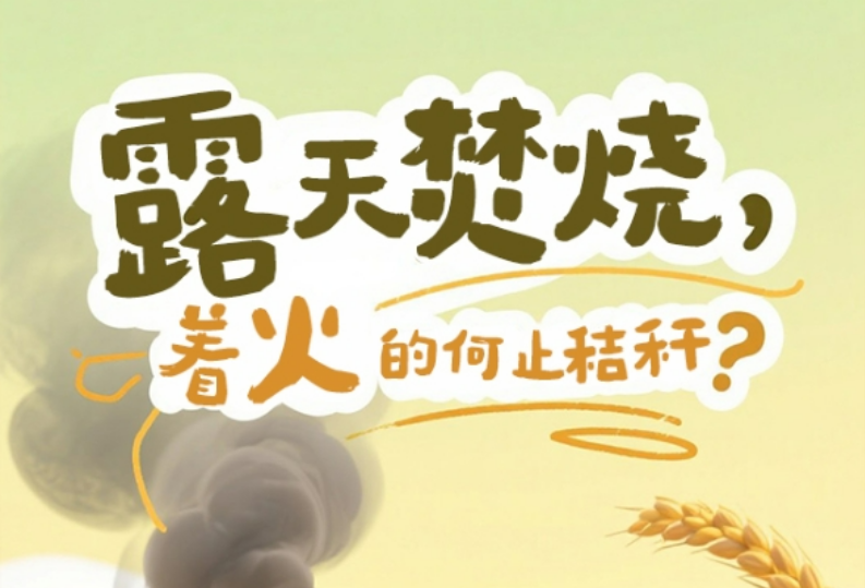 长图丨露天焚烧，“着火”的何止秸秆？