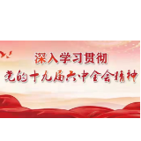 湖南省红十字会党组理论学习中心组传达学习党的十九届六中全会精神