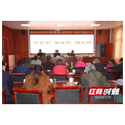 湖南离退休干部参加网上党史学习教育专题报告会