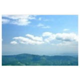 “绿”染初心写忠诚 ——追记全省优秀共产党员、怀化市生态环境局原党组成员、总工程师刘挺