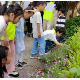 生物多样性日 | 聆听“自然物语”领略生物多样性魅力