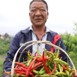 视频｜娄底吃货有福啦！土家大妹带“扶贫土货”进城