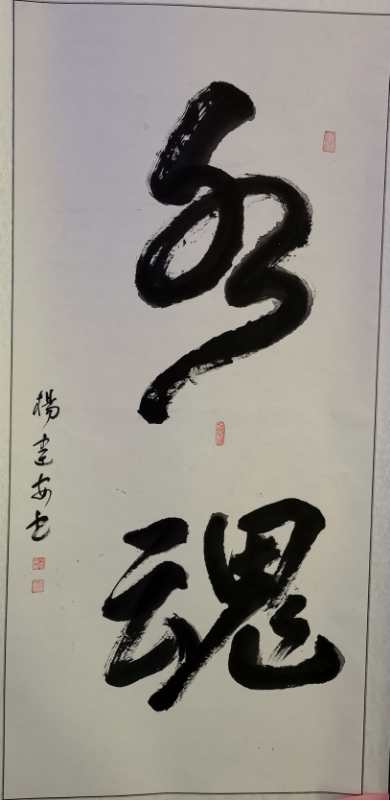 世界水日、中国水周书法绘画作品集。杨建安