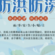 水利部部署防汛查弱项补短板工作