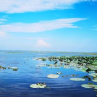 水清岸绿筑底色 大美益阳入画来——益阳市全面推行河湖长制五年工作综述