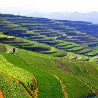 治山治水，绘就美丽中国新画卷