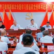 湖南黄金集团开展党史学习教育第四次专题学习 