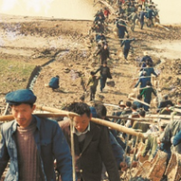 20万民工修整洞庭湖：治湖兴湘保安澜