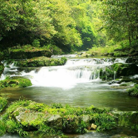 凉爽了吗？湖南多地喜提雨水