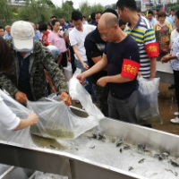 平江县一生态资源案入选最高检公益诉讼检察听证典型案例